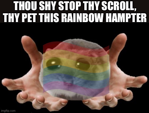 Thy shou pet thy rainbow hampter | THOU SHY STOP THY SCROLL, THY PET THIS RAINBOW HAMPTER | made w/ Imgflip meme maker