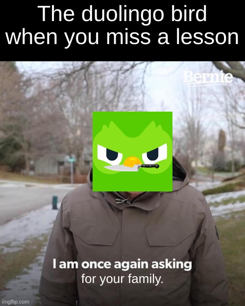 Bernie I Am Once Again Asking For Your Support | The duolingo bird when you miss a lesson; for your family. | image tagged in memes,bernie i am once again asking for your support | made w/ Imgflip meme maker