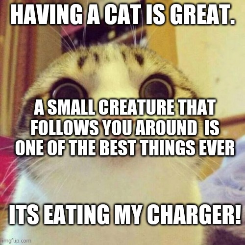 cats | HAVING A CAT IS GREAT. A SMALL CREATURE THAT FOLLOWS YOU AROUND  IS ONE OF THE BEST THINGS EVER; ITS EATING MY CHARGER! | image tagged in memes,smiling cat | made w/ Imgflip meme maker