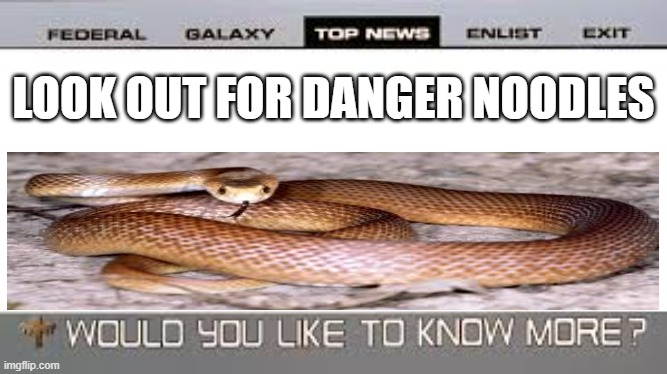 snek | LOOK OUT FOR DANGER NOODLES | image tagged in memes | made w/ Imgflip meme maker