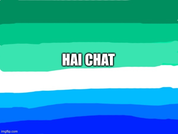 Kaden’s gay flag temp | HAI CHAT | image tagged in kaden s gay flag temp | made w/ Imgflip meme maker