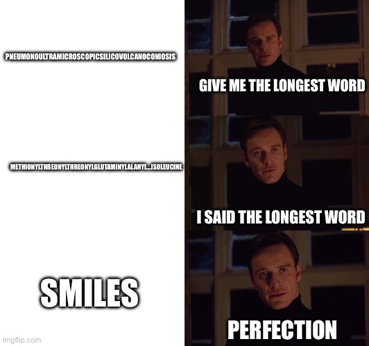 If you know, you know | PNEUMONOULTRAMICROSCOPICSILICOVOLCANOCONIOSIS; GIVE ME THE LONGEST WORD; METHIONYLTHREONYLTHREONYLGLUTAMINYLALANYL…ISOLEUCINE; I SAID THE LONGEST WORD; SMILES; PERFECTION | image tagged in perfection | made w/ Imgflip meme maker