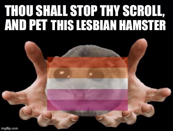 Please pet the lesbian hamster (new trend?) | THIS LESBIAN HAMSTER | image tagged in thou shall stop thy scoll and pet this hamster,lgbtq,lesbian,lesbians,hamster,hamsters | made w/ Imgflip meme maker