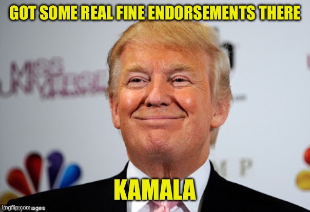 Donald trump approves | GOT SOME REAL FINE ENDORSEMENTS THERE KAMALA | image tagged in donald trump approves | made w/ Imgflip meme maker