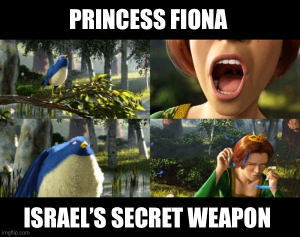 PRINCESS FIONA ISRAEL’S SECRET WEAPON | made w/ Imgflip meme maker