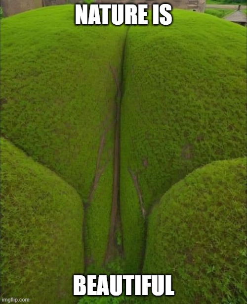 Nature is Beautiful | NATURE IS; BEAUTIFUL | image tagged in funny,nature,mother nature,plants,grass,wtf | made w/ Imgflip meme maker