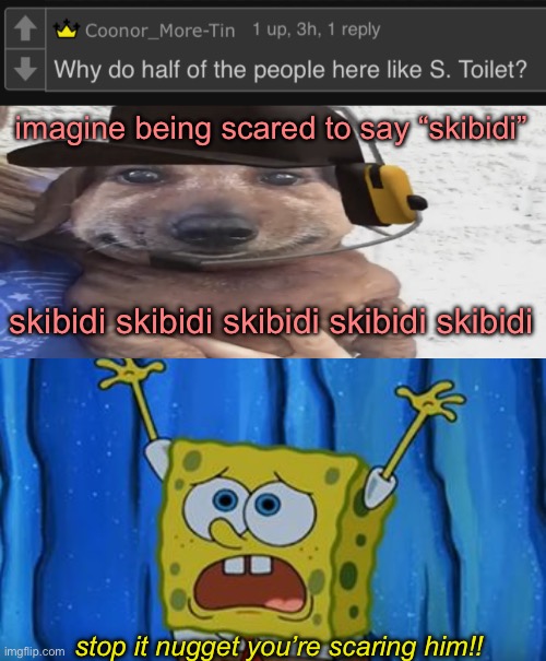 imagine being scared to say “skibidi”; skibidi skibidi skibidi skibidi skibidi; stop it nugget you’re scaring him!! | image tagged in chucklenuts,stop it patrick you're scaring him | made w/ Imgflip meme maker