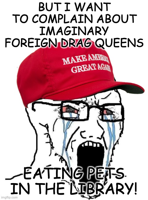 Crying Wojak | BUT I WANT TO COMPLAIN ABOUT IMAGINARY FOREIGN DRAG QUEENS EATING PETS IN THE LIBRARY! | image tagged in crying wojak | made w/ Imgflip meme maker