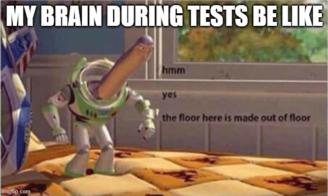 hmm                    yes | MY BRAIN DURING TESTS BE LIKE | image tagged in hmm yes the floor here is made out of floor | made w/ Imgflip meme maker