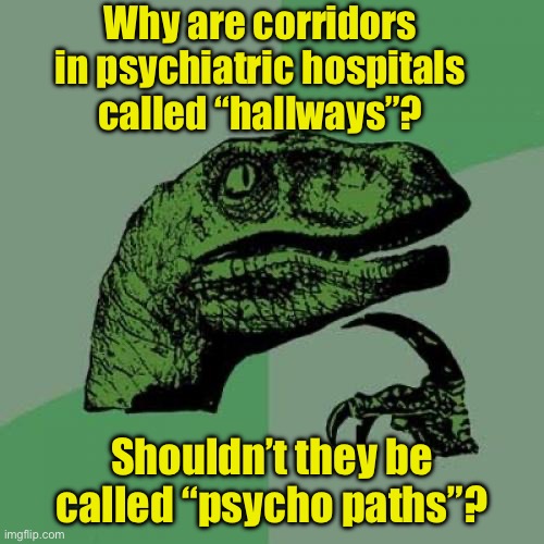 Psycolosoraptor | Why are corridors in psychiatric hospitals
called “hallways”? Shouldn’t they be called “psycho paths”? | image tagged in memes,philosoraptor | made w/ Imgflip meme maker