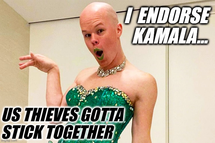SAM BRINTON 4 KAMALA | I  ENDORSE
KAMALA... US THIEVES GOTTA
STICK TOGETHER | image tagged in sam brinton 4 kamala | made w/ Imgflip meme maker