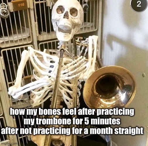 TROMBONER | how my bones feel after practicing my trombone for 5 minutes after not practicing for a month straight | image tagged in trombone,jazzy,justiceforjazzy,howard,lesbian,justjazzy17ttv | made w/ Imgflip meme maker