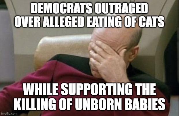 Captain Picard Facepalm | DEMOCRATS OUTRAGED OVER ALLEGED EATING OF CATS; WHILE SUPPORTING THE KILLING OF UNBORN BABIES | image tagged in memes,captain picard facepalm | made w/ Imgflip meme maker