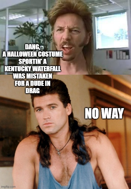 DANG,
A HALLOWEEN COSTUME
SPORTIN' A
KENTUCKY WATERFALL
WAS MISTAKEN
FOR A DUDE IN
DRAG NO WAY | image tagged in joe dirt dang,billy ray cyrus mullet | made w/ Imgflip meme maker