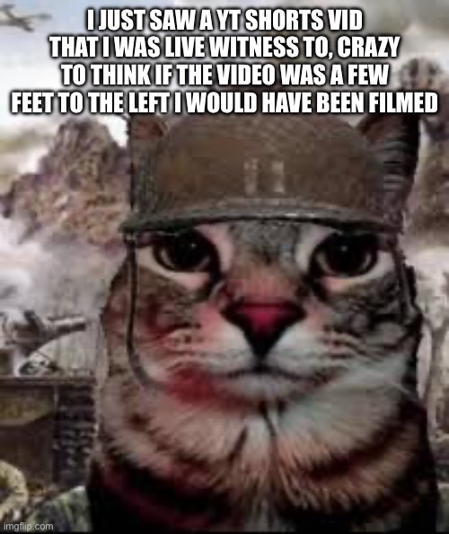 1000 yard stare cat | I JUST SAW A YT SHORTS VID THAT I WAS LIVE WITNESS TO, CRAZY TO THINK IF THE VIDEO WAS A FEW FEET TO THE LEFT I WOULD HAVE BEEN FILMED | image tagged in 1000 yard stare cat | made w/ Imgflip meme maker