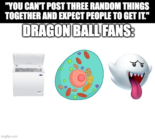 Dragon Ballers will get it | "YOU CAN'T POST THREE RANDOM THINGS TOGETHER AND EXPECT PEOPLE TO GET IT."; DRAGON BALL FANS: | image tagged in blank white template | made w/ Imgflip meme maker