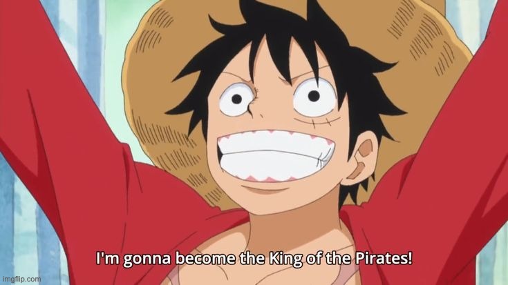 im gonna become the king of the pirates | image tagged in im gonna become the king of the pirates | made w/ Imgflip meme maker