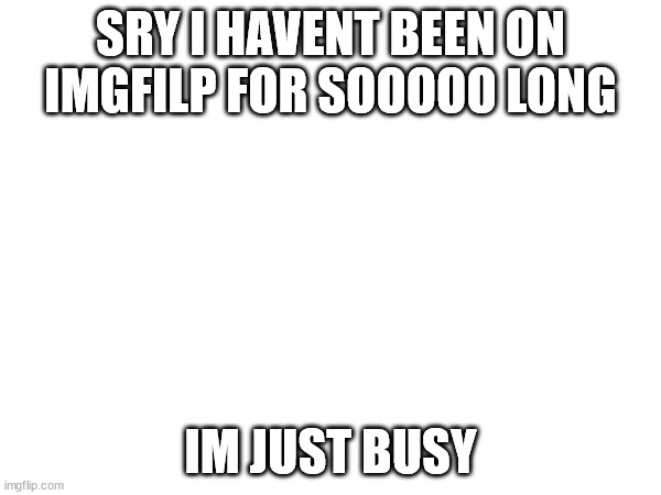 Sorry i have been gone | SRY I HAVENT BEEN ON IMGFILP FOR SOOOOO LONG; IM JUST BUSY | image tagged in meow | made w/ Imgflip meme maker