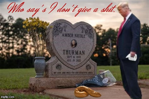 Amber Nicole Thurman criminal returns to leave his mark | image tagged in trump dump,murder roe overturned,trump flowers,reovember remember,maga methane,trump turd | made w/ Imgflip meme maker