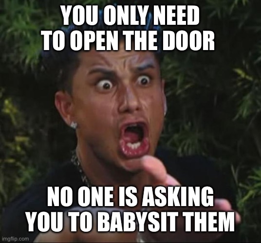 DJ Pauly D Meme | YOU ONLY NEED TO OPEN THE DOOR NO ONE IS ASKING YOU TO BABYSIT THEM | image tagged in memes,dj pauly d | made w/ Imgflip meme maker