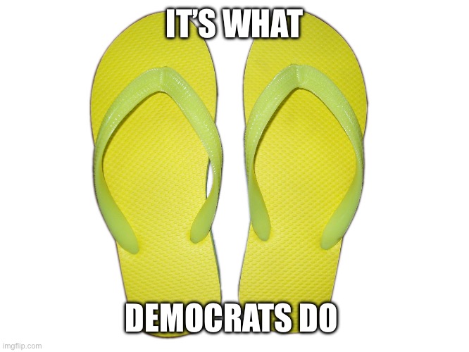 Flip Flops | IT’S WHAT DEMOCRATS DO | image tagged in flip flops | made w/ Imgflip meme maker