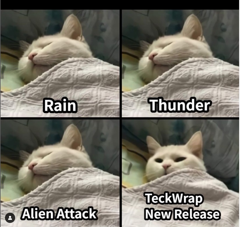 High Quality Cat Wake UP Blank Meme Template