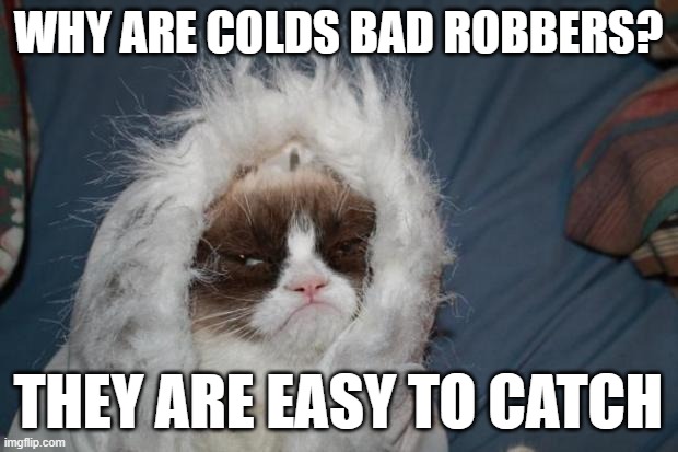 Ez to get rid off too | WHY ARE COLDS BAD ROBBERS? THEY ARE EASY TO CATCH | image tagged in cold grumpy cat,pun,puns,bad joke | made w/ Imgflip meme maker