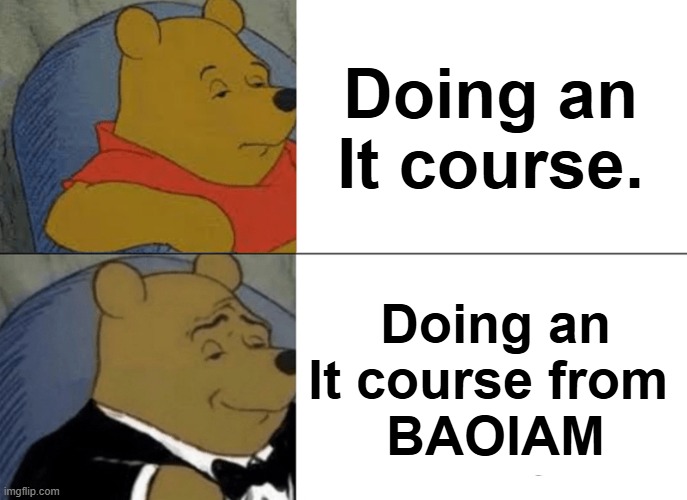 Tuxedo Winnie The Pooh Meme | Doing an It course. Doing an It course from 
BAOIAM | image tagged in memes,tuxedo winnie the pooh | made w/ Imgflip meme maker