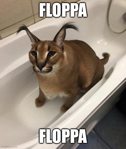 Big FLOPPA in the tub | FLOPPA; FLOPPA | image tagged in big floppa in the tub,nubasik07 x nubasiksphone | made w/ Imgflip meme maker