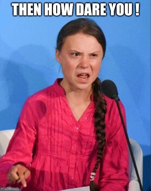 Greta Thunberg how dare you | THEN HOW DARE YOU ! | image tagged in greta thunberg how dare you | made w/ Imgflip meme maker