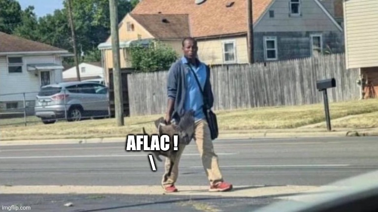 Haitian Man With Goose | AFLAC !
\ | image tagged in haitian man with goose | made w/ Imgflip meme maker