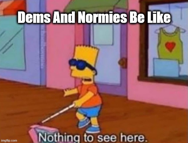 Nothing to see here | Dems And Normies Be Like | image tagged in nothing to see here | made w/ Imgflip meme maker