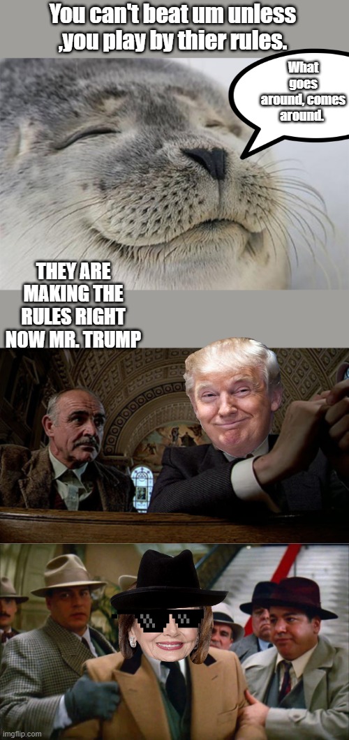 You can't beat um unless ,you play by thier rules. What goes around, comes around. THEY ARE MAKING THE RULES RIGHT NOW MR. TRUMP | image tagged in memes,satisfied seal | made w/ Imgflip meme maker