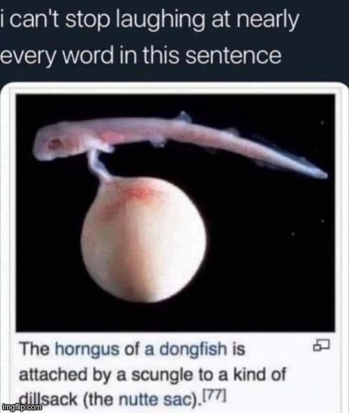 . | made w/ Imgflip meme maker