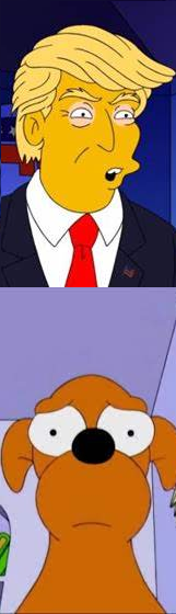 Trump: In Springfield, they are eating the dogs Blank Meme Template