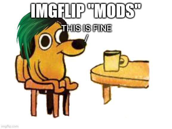 Blank White Template | IMGFLIP "MODS" THIS IS FINE
/ | image tagged in blank white template | made w/ Imgflip meme maker