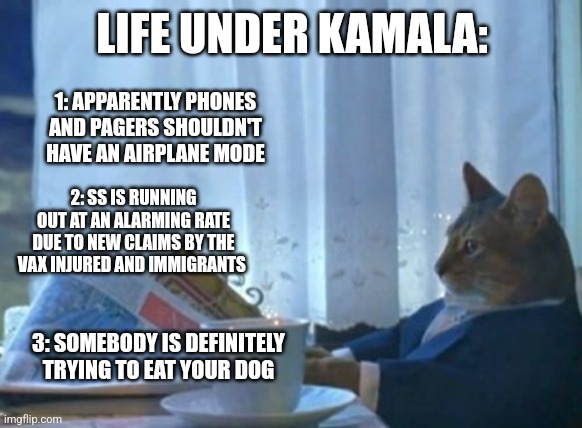 I Should Buy A Boat Cat | LIFE UNDER KAMALA:; 1: APPARENTLY PHONES AND PAGERS SHOULDN'T HAVE AN AIRPLANE MODE; 2: SS IS RUNNING OUT AT AN ALARMING RATE DUE TO NEW CLAIMS BY THE VAX INJURED AND IMMIGRANTS; 3: SOMEBODY IS DEFINITELY TRYING TO EAT YOUR DOG | image tagged in memes,i should buy a boat cat | made w/ Imgflip meme maker