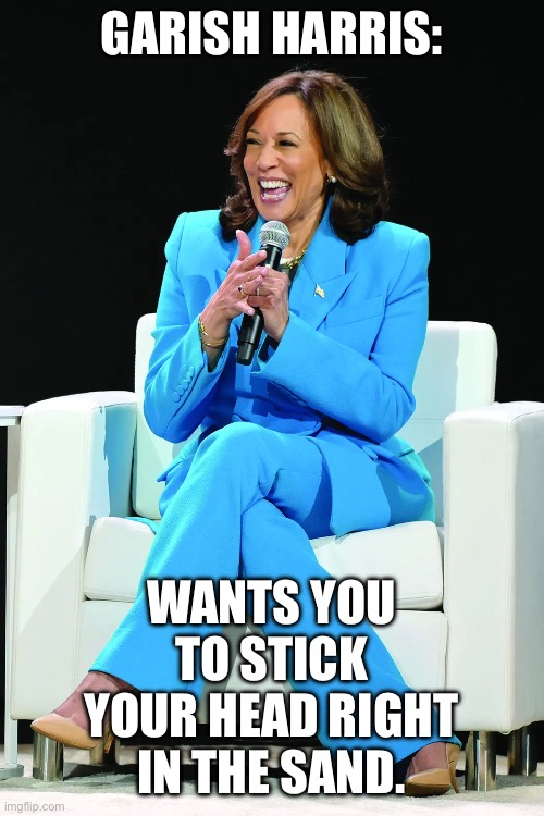 GARISH HARRIS:; WANTS YOU TO STICK YOUR HEAD RIGHT IN THE SAND. | image tagged in politics,kamala harris,election,maga | made w/ Imgflip meme maker