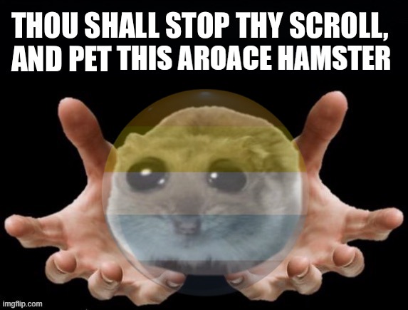 trend??? | THIS AROACE HAMSTER | image tagged in thou shall stop thy scoll and pet this hamster | made w/ Imgflip meme maker