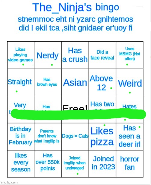 image tagged in the_ninja's bingo | made w/ Imgflip meme maker