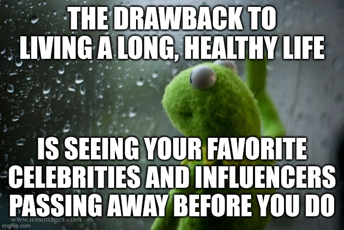 :'( | THE DRAWBACK TO LIVING A LONG, HEALTHY LIFE; IS SEEING YOUR FAVORITE CELEBRITIES AND INFLUENCERS PASSING AWAY BEFORE YOU DO | image tagged in kermit window,sad | made w/ Imgflip meme maker