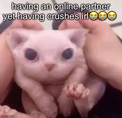 scrunched bingus | having an online partner yet having crushes irl😭😭😭 | image tagged in scrunched bingus | made w/ Imgflip meme maker