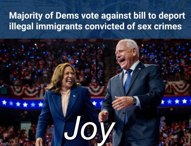 Gotta protect the voting base | Joy | image tagged in kamala harris and tim walz,politics lol,memes | made w/ Imgflip meme maker