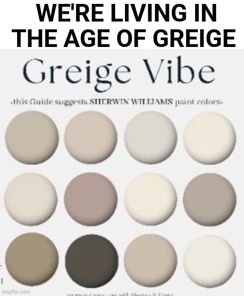 Greige is a color. | WE'RE LIVING IN THE AGE OF GREIGE | image tagged in colors | made w/ Imgflip meme maker