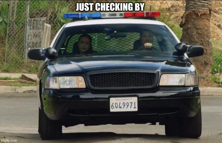 lapd the rookie police car | JUST CHECKING BY | image tagged in lapd the rookie police car | made w/ Imgflip meme maker