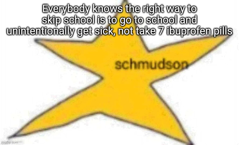 schmudson star | Everybody knows the right way to skip school is to go to school and unintentionally get sick, not take 7 ibuprofen pills | image tagged in schmudson star | made w/ Imgflip meme maker