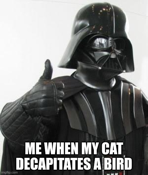 Darth vader approves | ME WHEN MY CAT DECAPITATES A BIRD | image tagged in darth vader approves | made w/ Imgflip meme maker