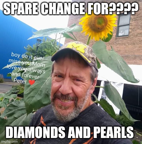 Spare Change For?? | SPARE CHANGE FOR???? DIAMONDS AND PEARLS | image tagged in peter plant,diamonds,pearl,funny memes,homeless | made w/ Imgflip meme maker