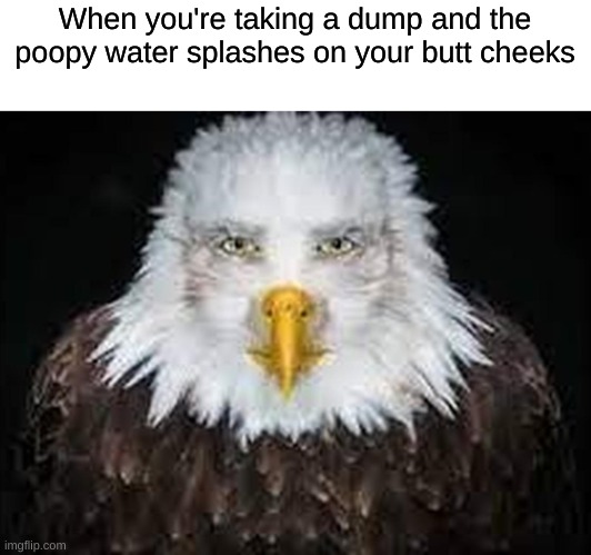 relatable | When you're taking a dump and the poopy water splashes on your butt cheeks | image tagged in memes,funny,relatable | made w/ Imgflip meme maker