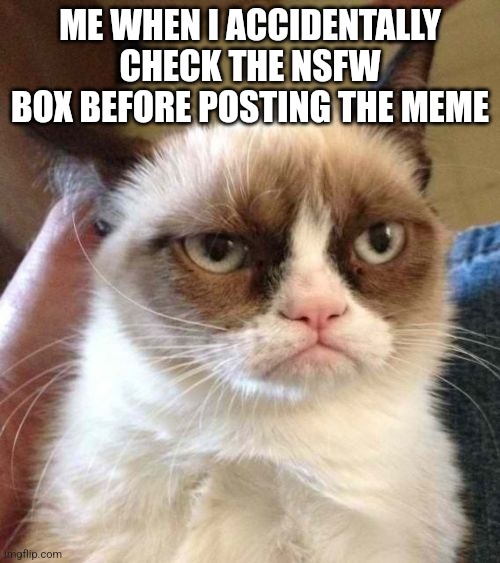 I hate it when that happens | ME WHEN I ACCIDENTALLY CHECK THE NSFW BOX BEFORE POSTING THE MEME | image tagged in memes,grumpy cat reverse,grumpy cat | made w/ Imgflip meme maker